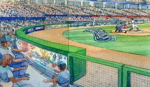 Miami Marlins aquarium